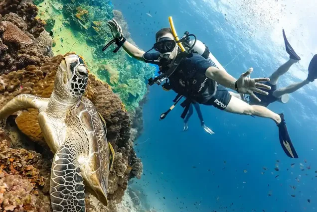 Diving program
