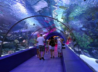 Aquarium