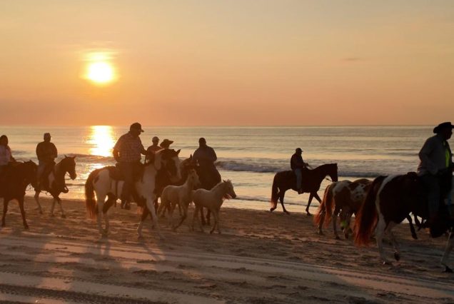Horse Riding
